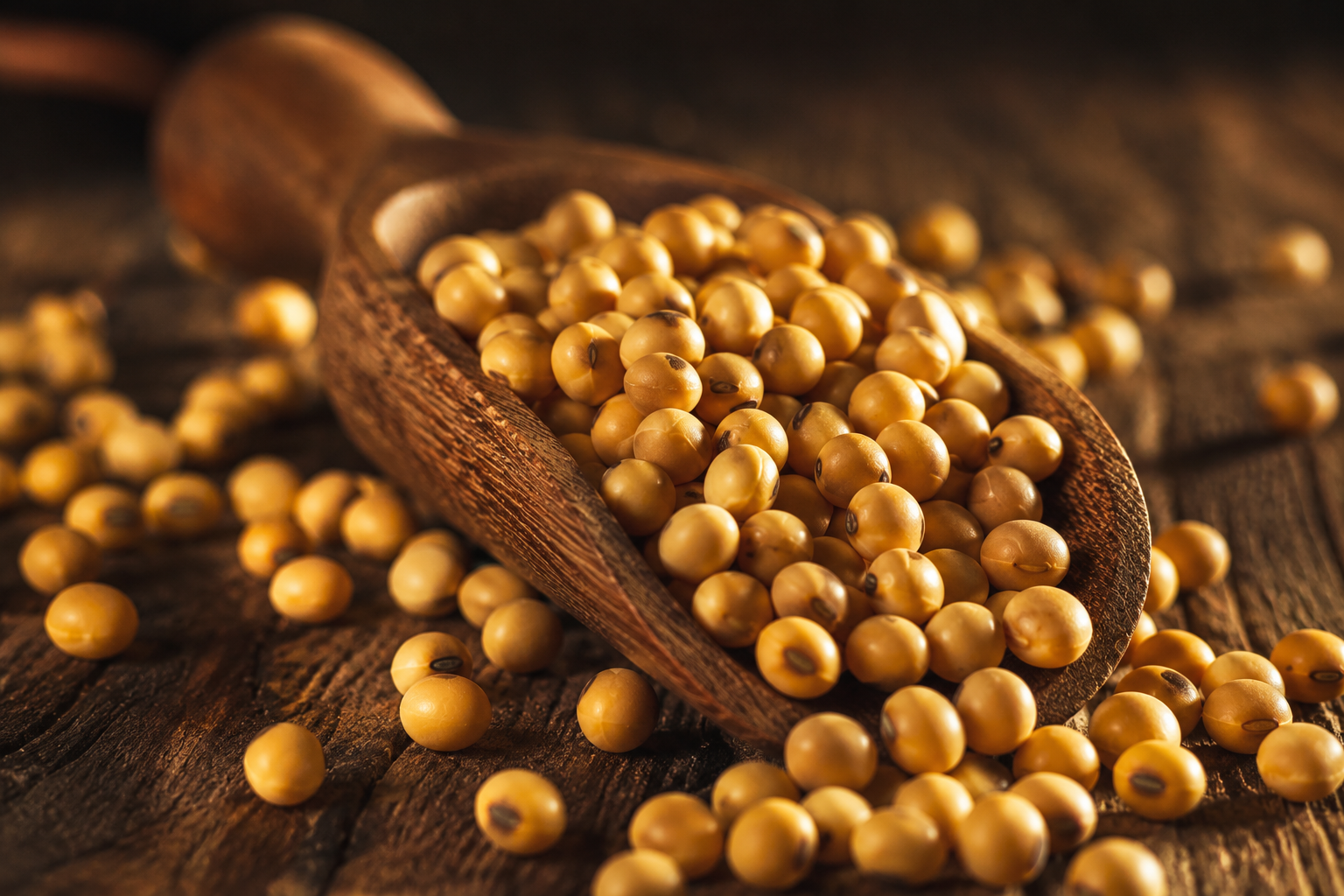 Soybean complex — beans, meal, and oil